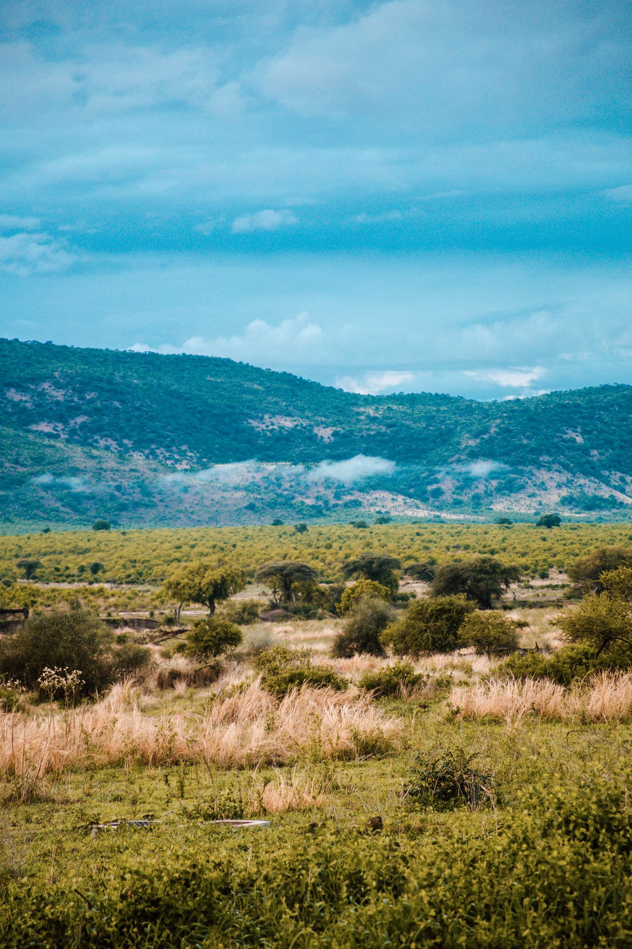 tanzania